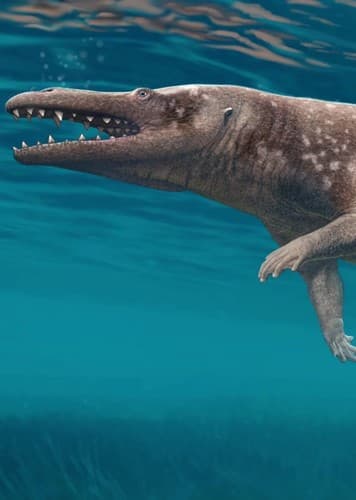 Maiacetus