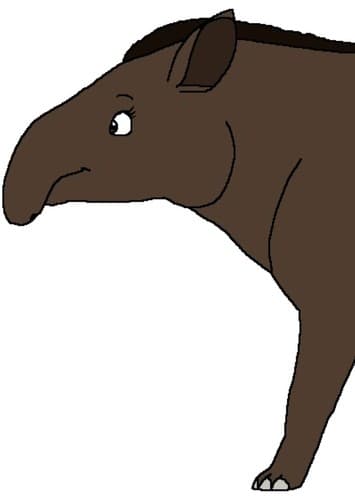 Mama Tapir