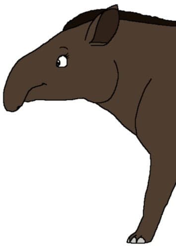 Mama Tapir