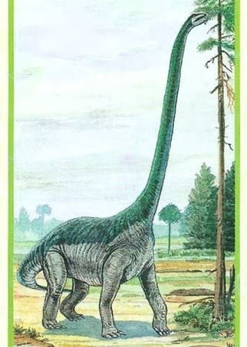 Mamenchisaurus