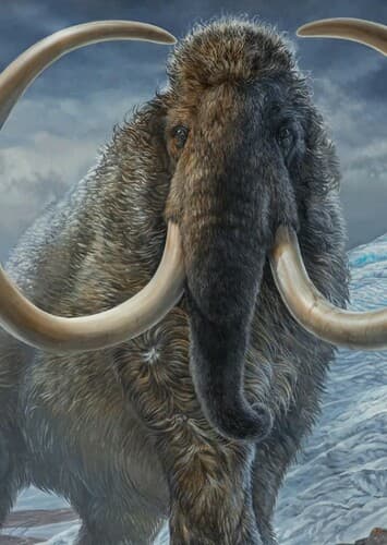 Mammoth