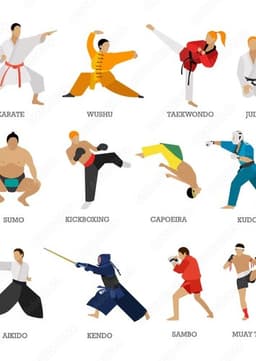 MARTIAL ARTS