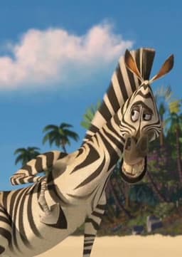 Marty the Zebra