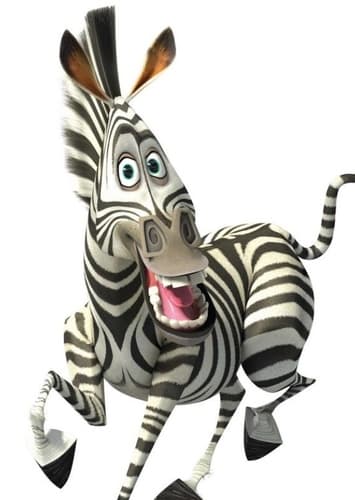 Marty the Zebra