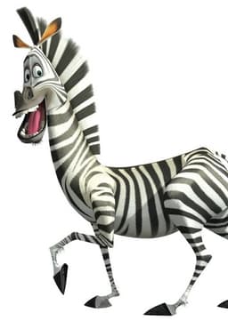 Marty the Zebra