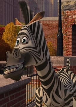 Marty The Zebra