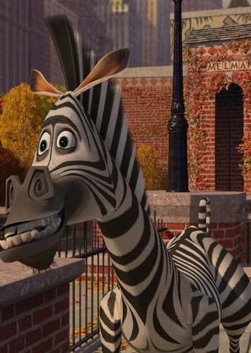 Marty the zebra