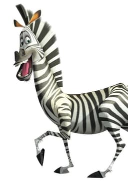 Marty The Zebra