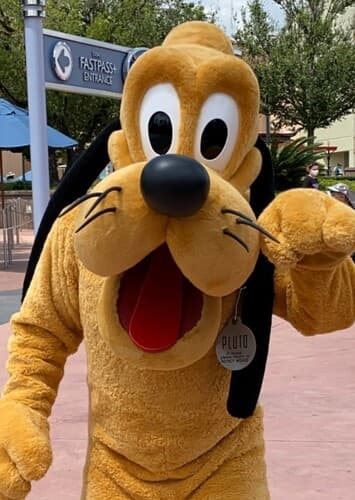 Mascot Pluto