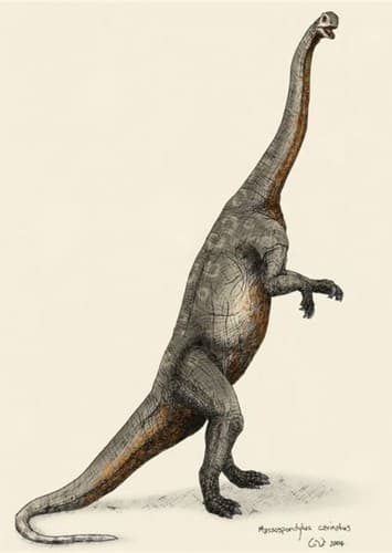 Massospondylus