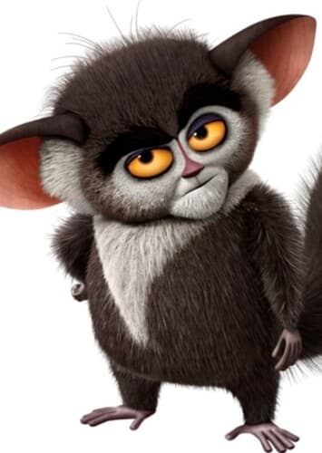 Maurice the Aye-Aye