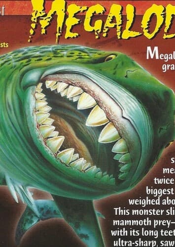 Megalodon