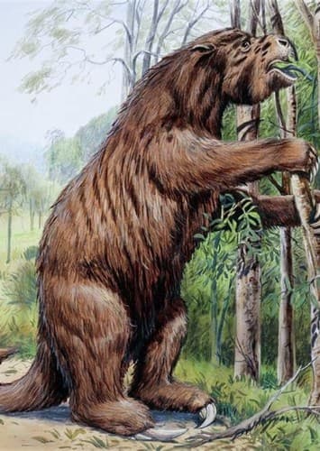Megatherium
