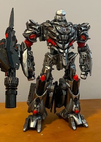 Megatron ❌ and ✅