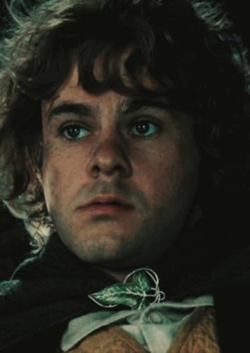 Meriadoc Brandybuck