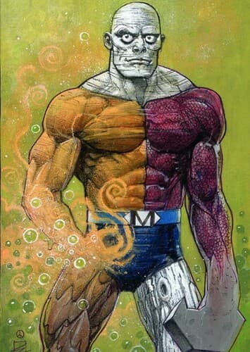 Metamorpho