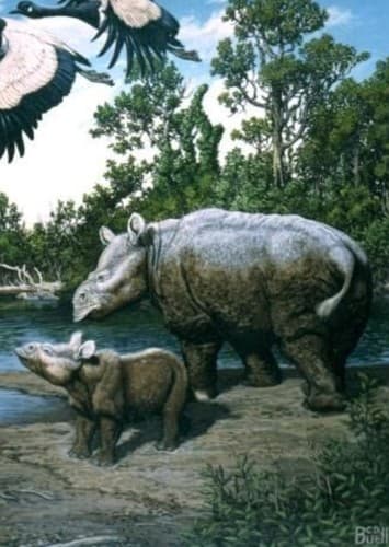 Metamynodon