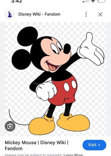 Mickey mouse