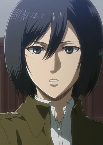 Mikasa