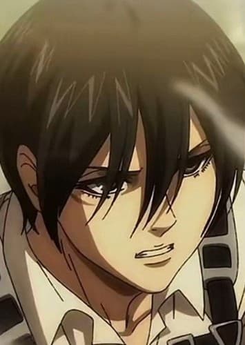 Mikasa Ackerman (Future)