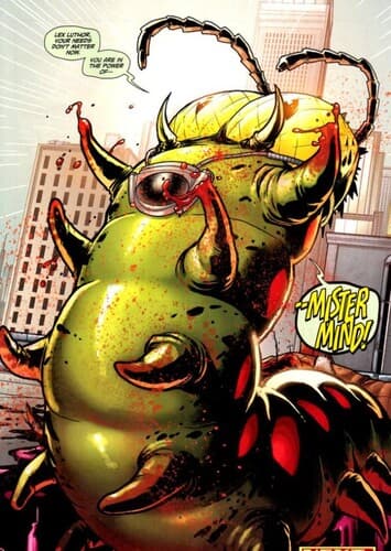 Mister Mind