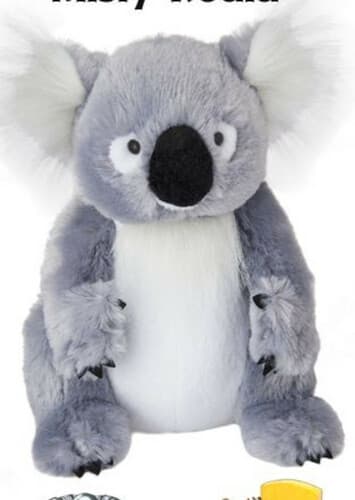 Misty Koala