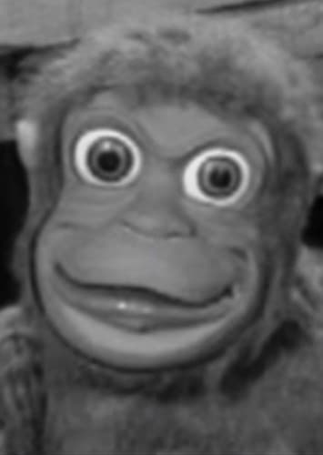 Mitch the Monkey (voice)