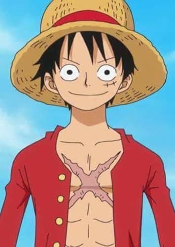 Monkey D. Luffy (Future)