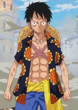 Monkey D. Luffy (Not So Young)