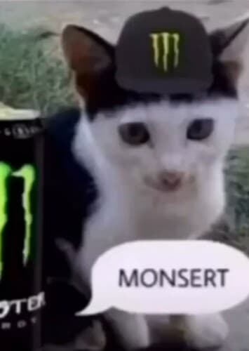 Monsert