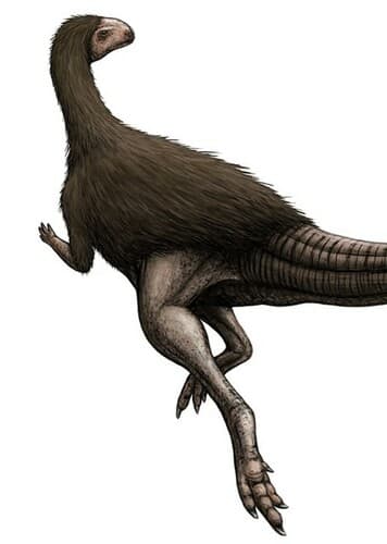 Morrosaurus