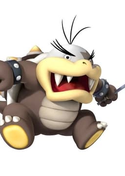 Morton Koopa Jr