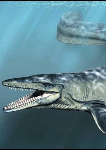 Mosasaurs