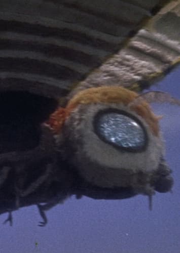 Mothra I