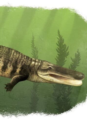 Mourasuchus