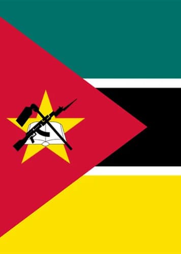 Mozambican