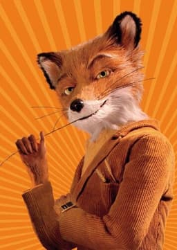 Mr. Fox