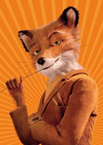 Mr. Fox