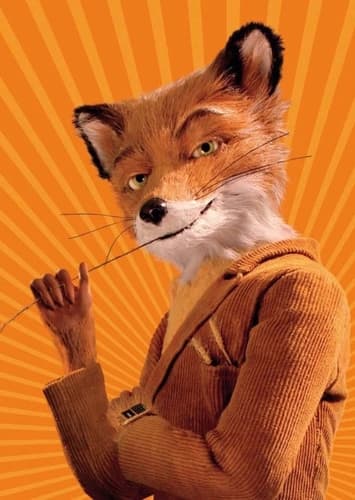 Mr. Fox