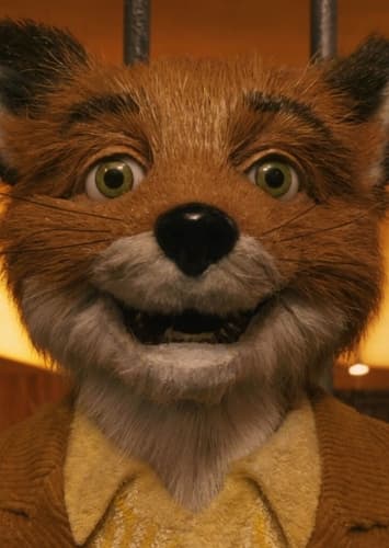 Mr. Fox