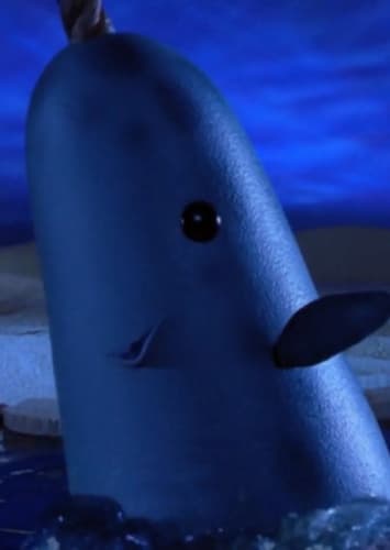 Mr. Narwhal