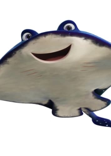 Mr. Ray