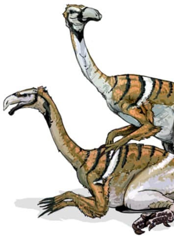 Nanshiungosaurus