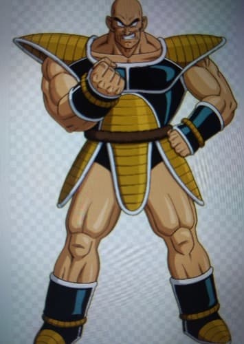 Nappa