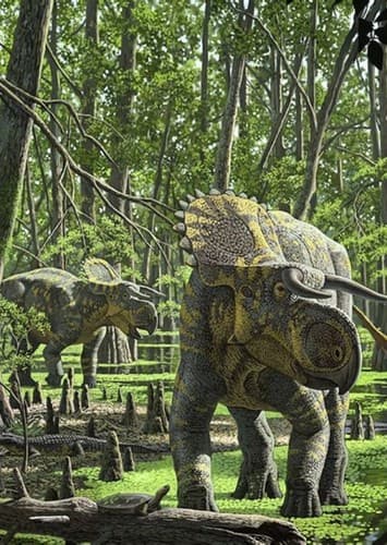 Nasutoceratops