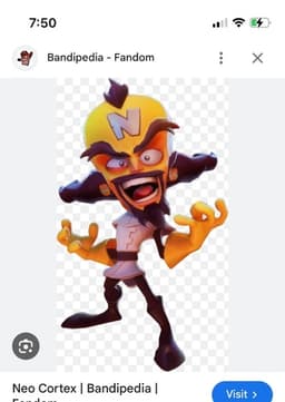 Neo cortex