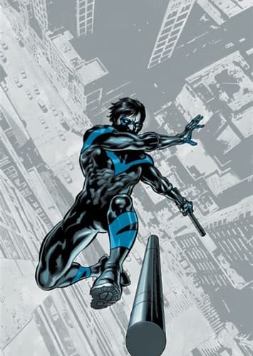 Nightwing.