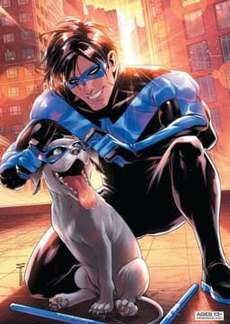 Nightwing