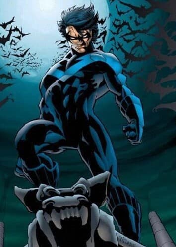 Nightwing III/Robin I