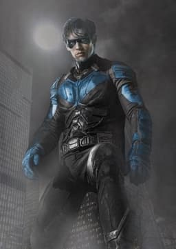 Nightwing/Robin